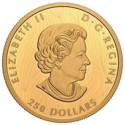 Pure Gold Ultra High Relief Coin - Bold Bison Obverse