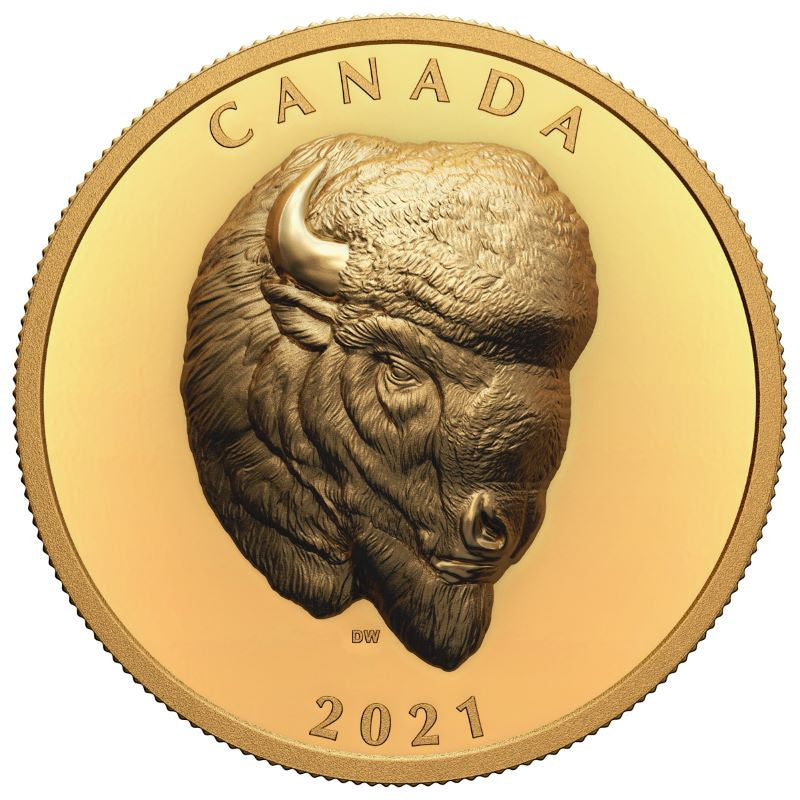 Pure Gold Ultra High Relief Coin - Bold Bison Reverse