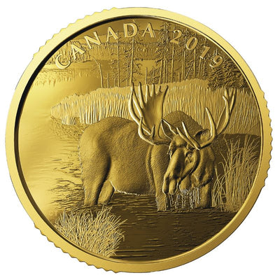 Pure Gold Coin - Canadian Moose Reverse