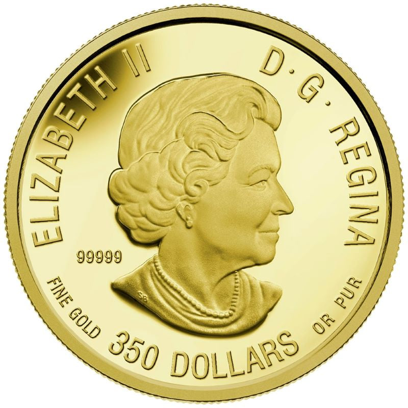 Pure Gold Coin - The Majestic Moose Obverse