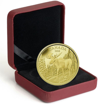 Pure Gold Coin - The Majestic Moose Packaging