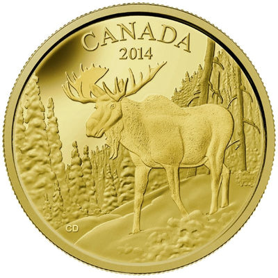 Pure Gold Coin - The Majestic Moose Reverse