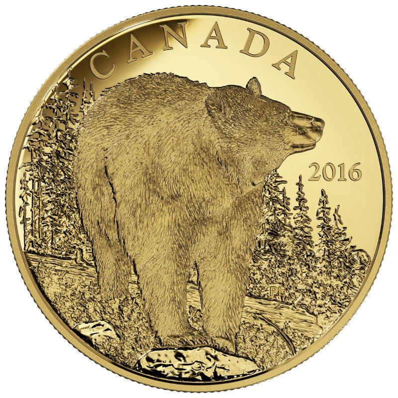 Pure Gold Coin - The Bold Black Bear Reverse