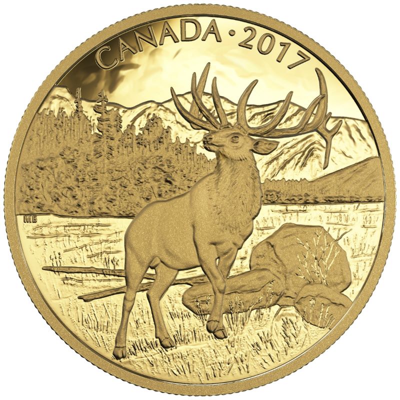 Pure Gold Coin - The Majestic Elk Reverse