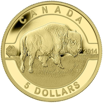 Pure Gold 4 Coin Set - O Canada: The Bison Reverse