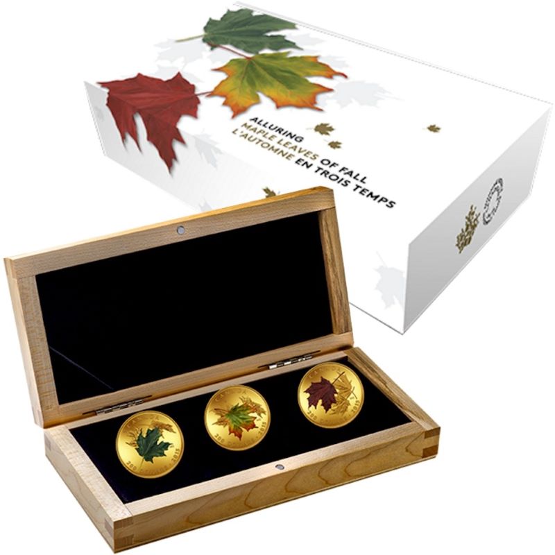Pure Gold 3 Coin Set with Colour - Alluring Maple Leaves of Fall Packaging