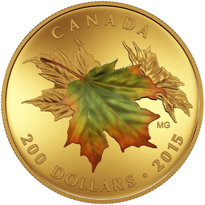 Pure Gold 3 Coin Set with Colour - Alluring Maple Leaves of Fall: Golden Reverse