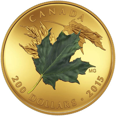 Pure Gold 3 Coin Set with Colour - Alluring Maple Leaves of Fall: Green Reverse