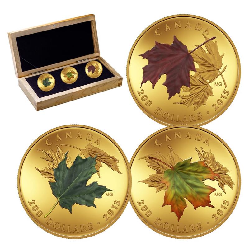 Pure Gold 3 Coin Set with Colour - Alluring Maple Leaves of Fall