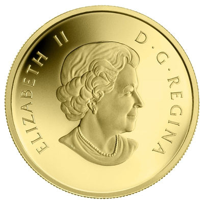 Pure Gold Coin - O Canada: Moose Obverse