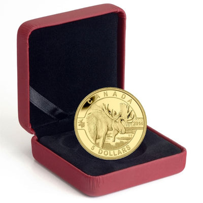 Pure Gold Coin - O Canada: Moose Packaging